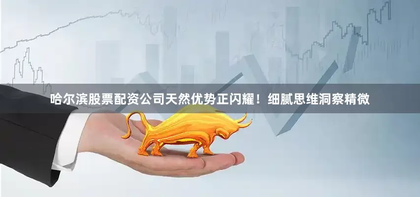 哈尔滨股票配资公司天然优势正闪耀！细腻思维洞察精微