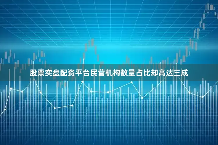 股票实盘配资平台民营机构数量占比却高达三成