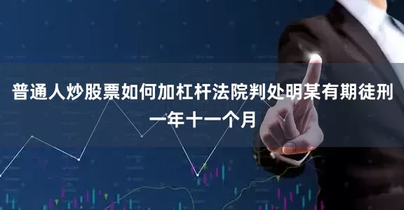 普通人炒股票如何加杠杆法院判处明某有期徒刑一年十一个月
